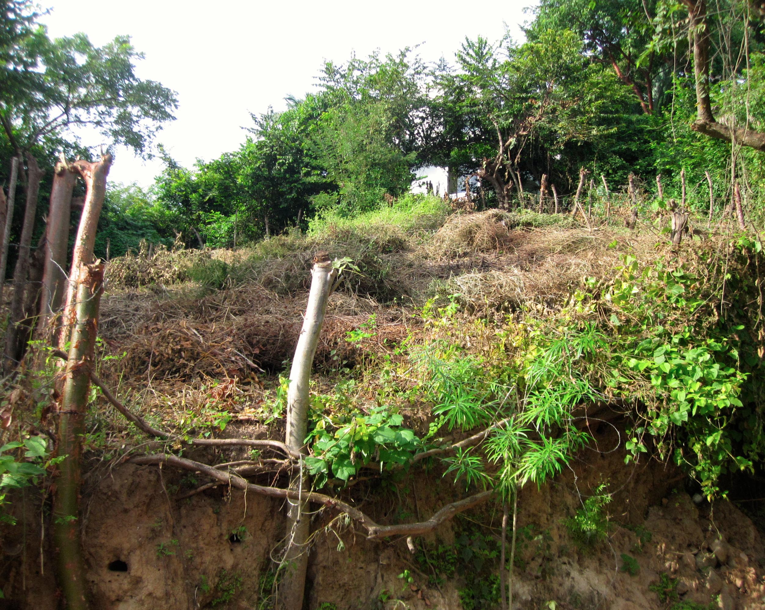 Lote de las Brisas