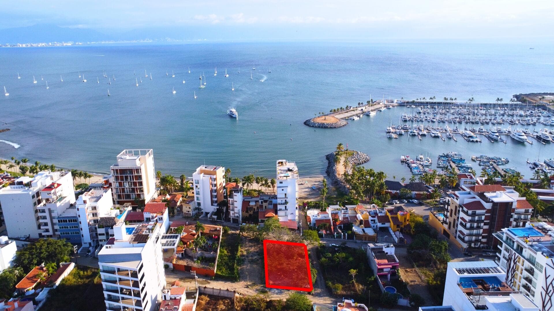 Lote Albatros