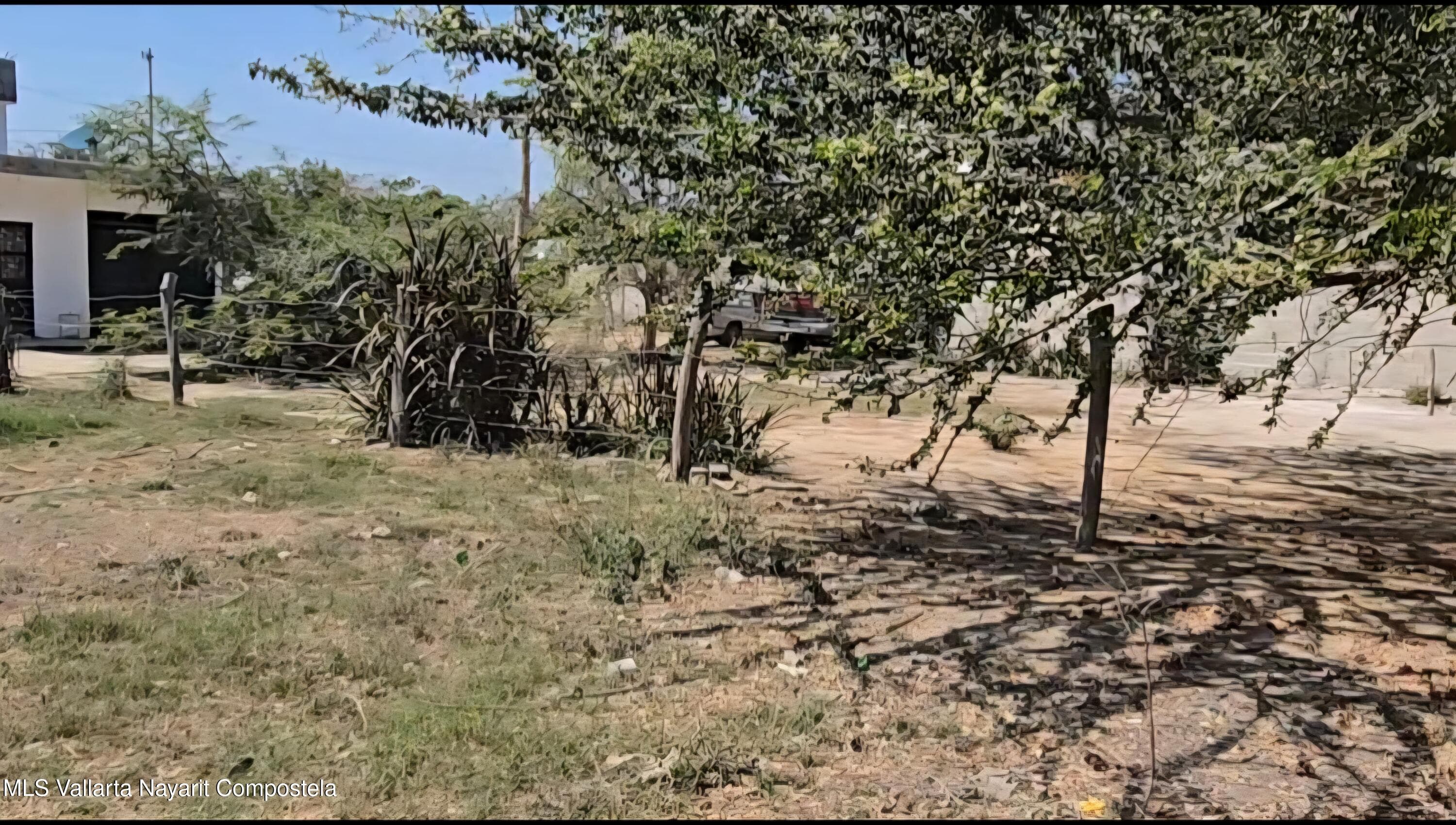 LOTE  QUETZAL