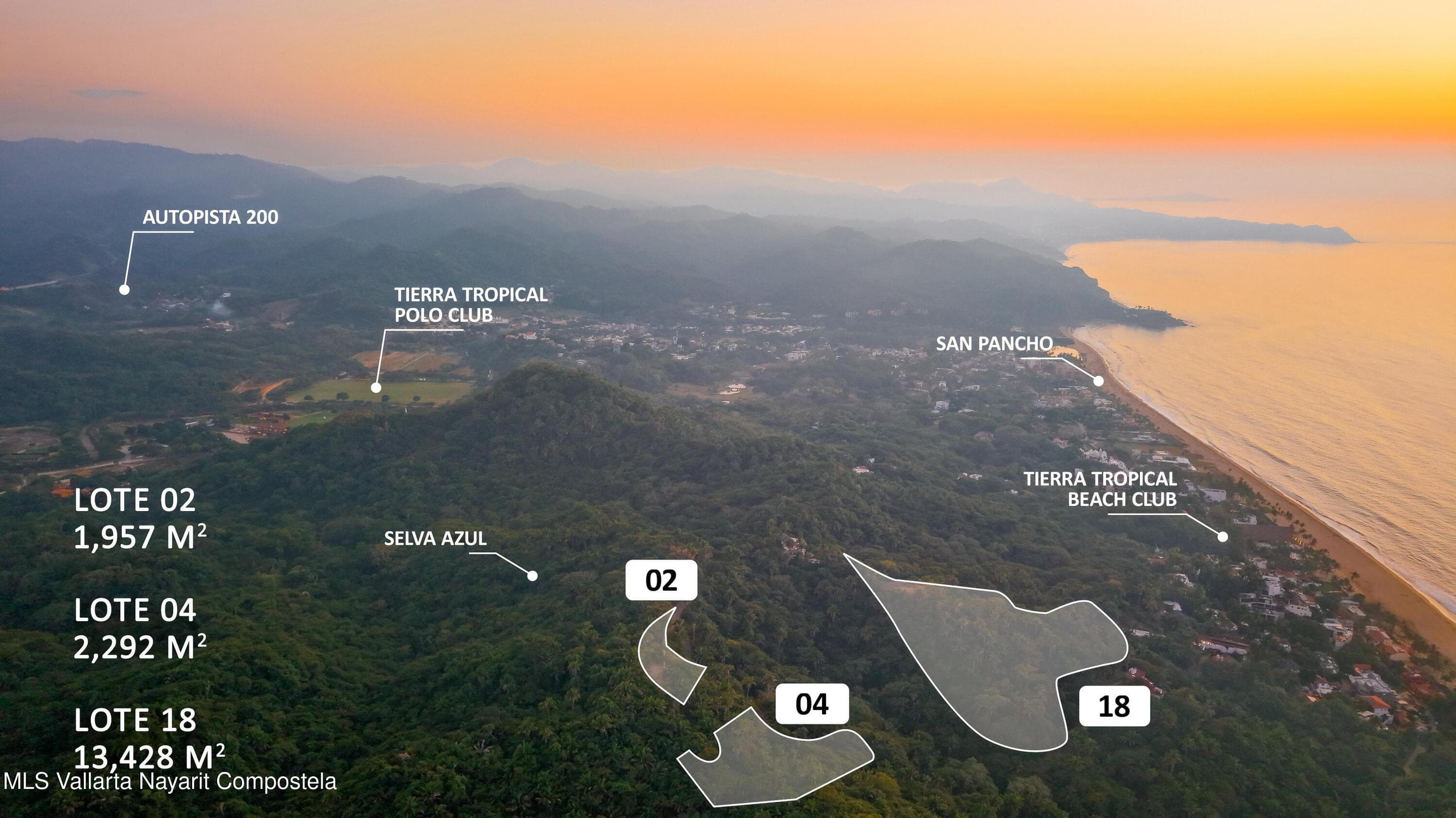 Selva Azul Lote # 4