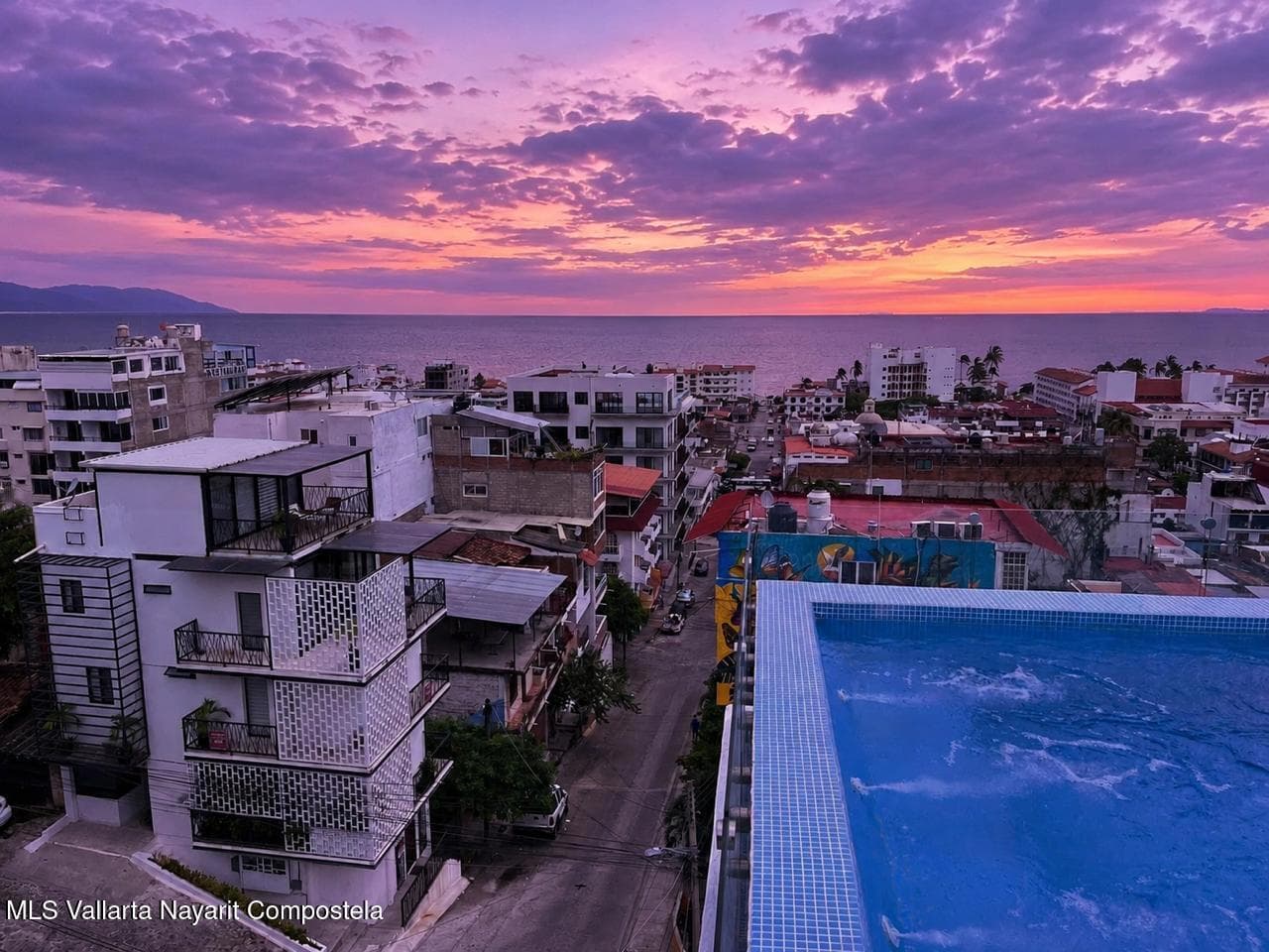 Condo Violeta