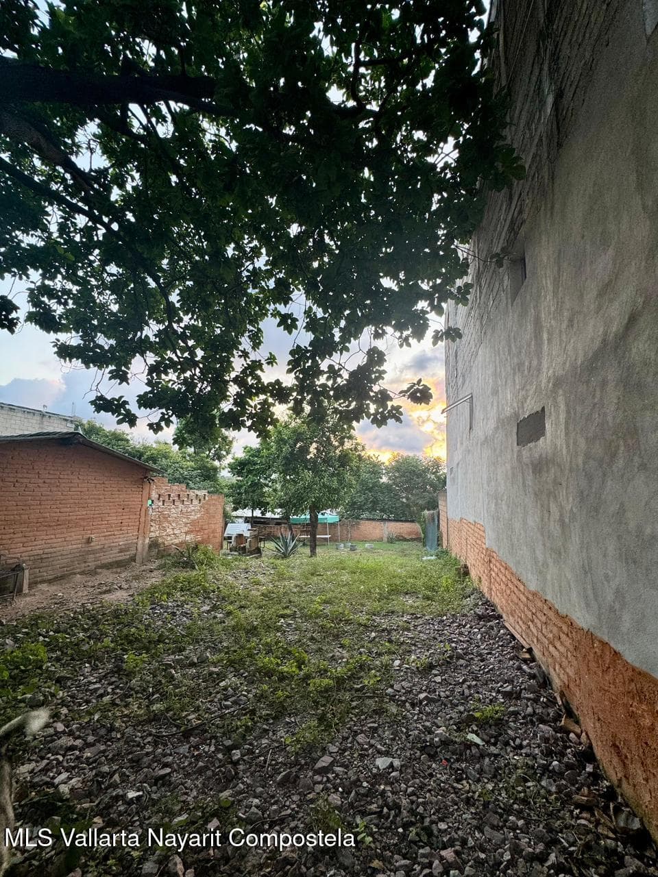 Lote 29