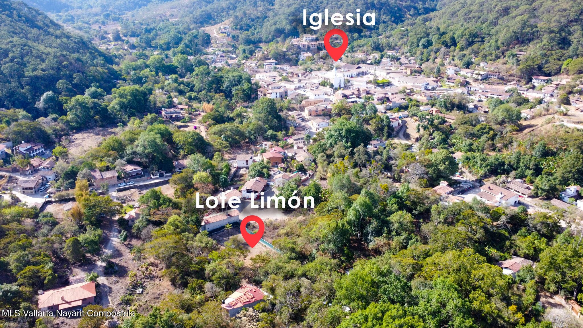 Lote  Limon