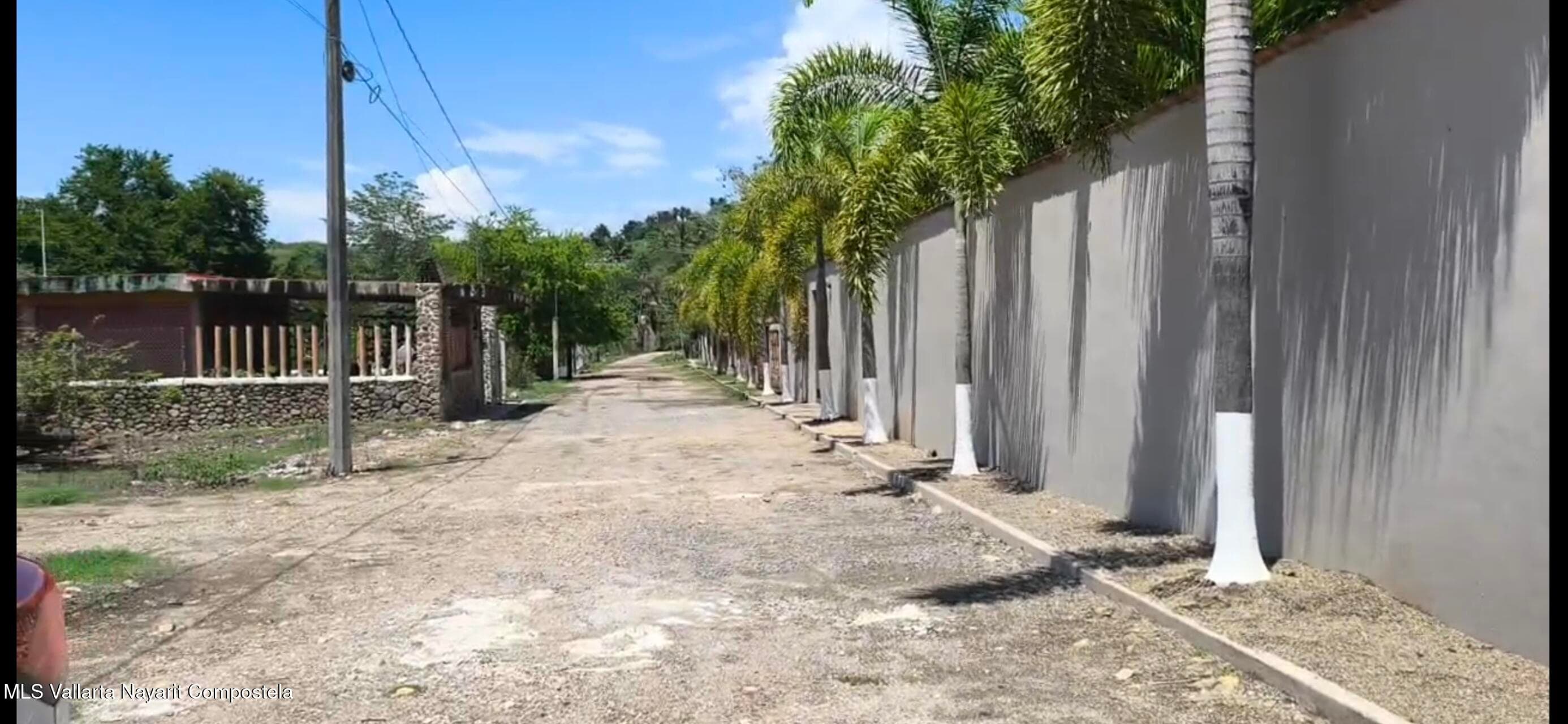 Lote Guayabitos