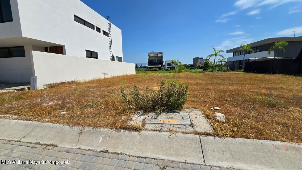 LOTE 75PALMA DEL REY