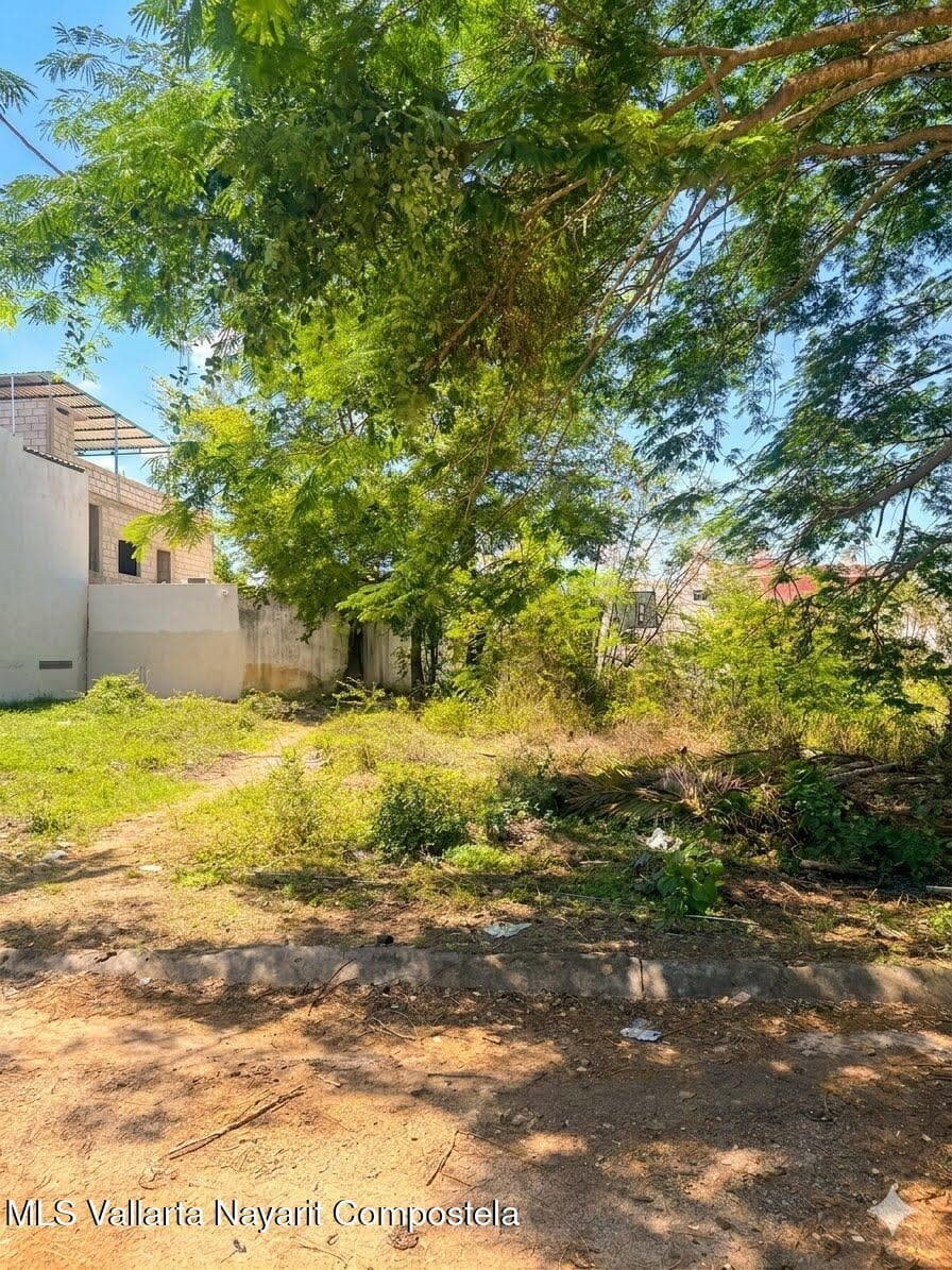 TERRENO BLANCO