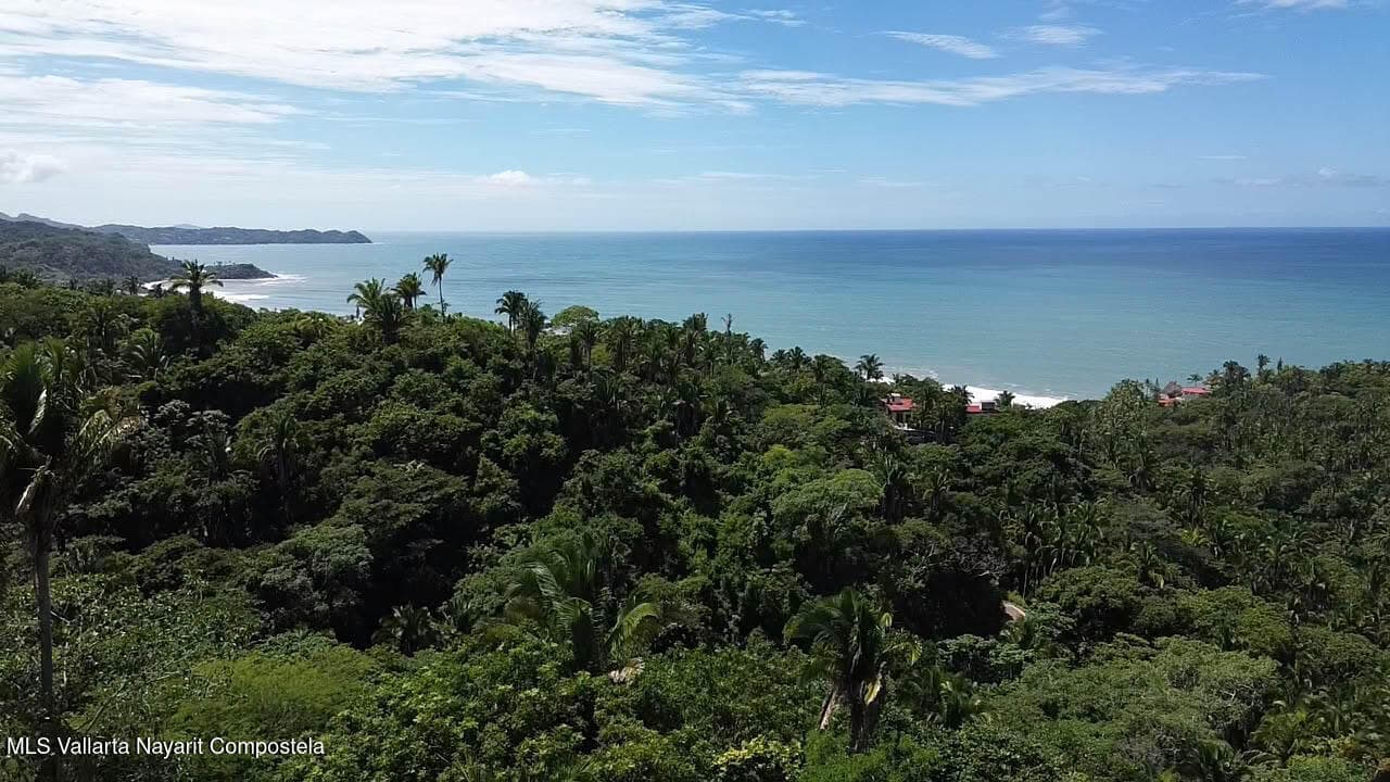 Selva Azul Lote 12