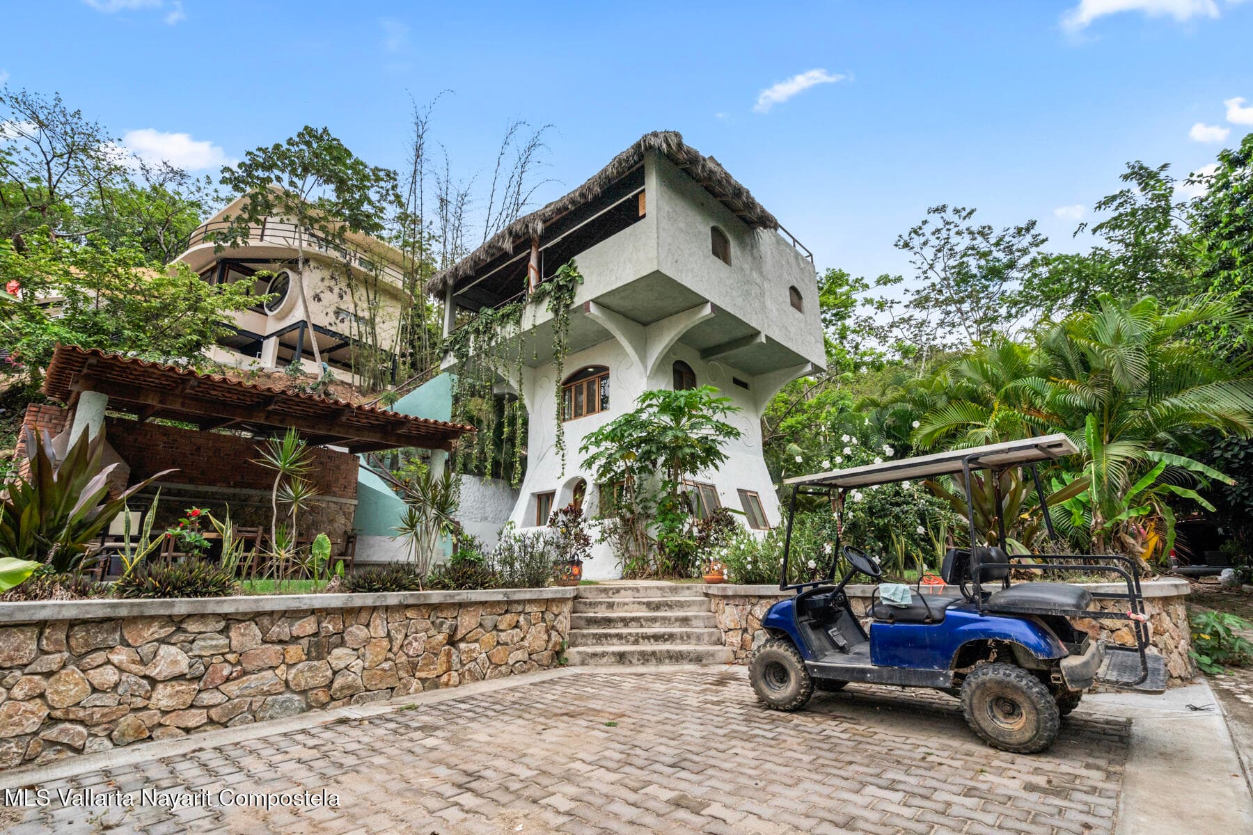 Casa Arbol